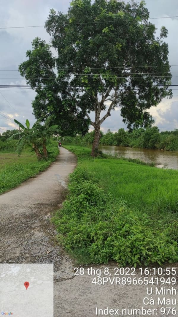 KS95-Đường đal Trường Trung học - Ảnh 2