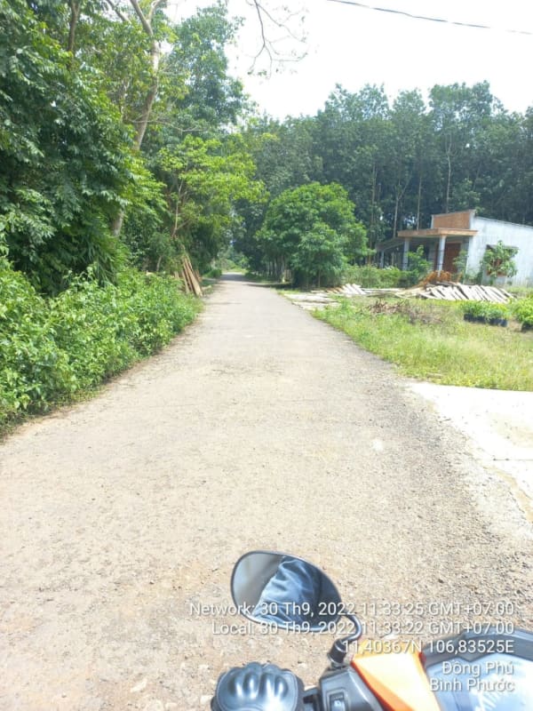 DP20 - Đường giao thông liên xã. - Ảnh 3
