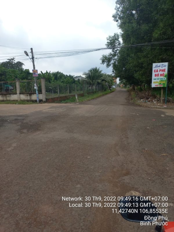 DP11- Đường giao thông liên xã - Ảnh 2