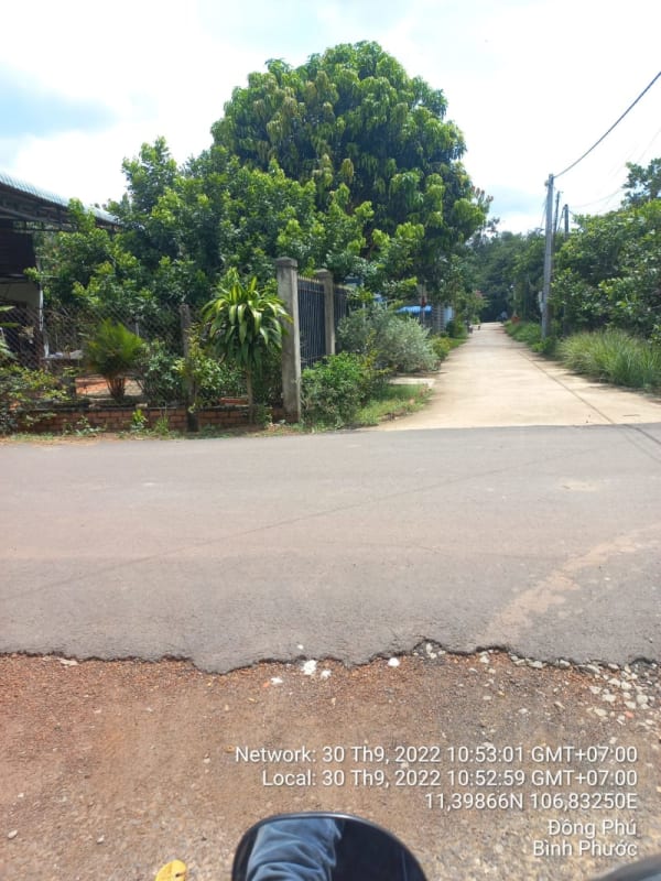 DP19-Đường giao thông nông thôn đấu nối trục đường ĐT741 - Ảnh 1