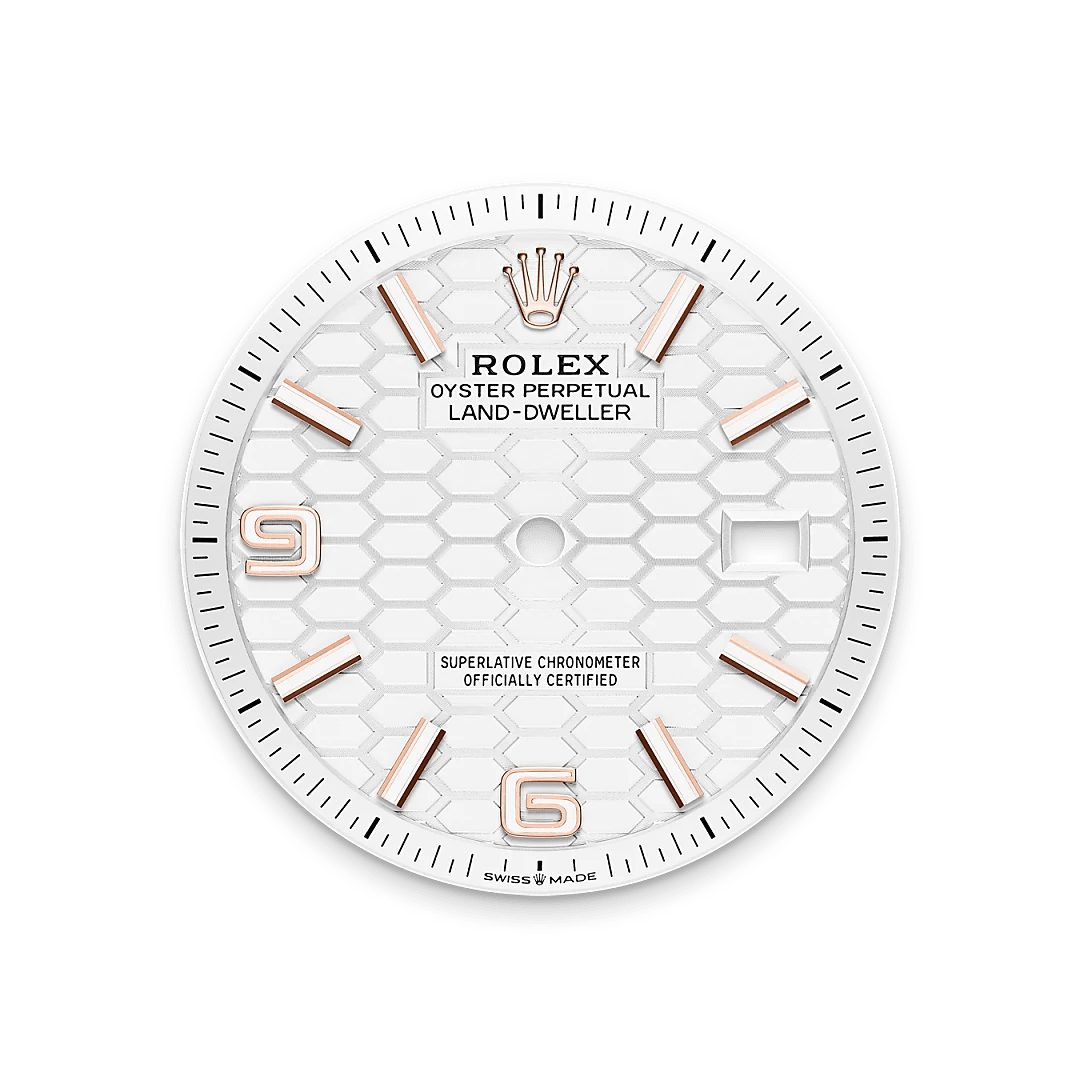 Rolex Land-Dweller in 18 ct Everose gold M127235-0001- Montecristo Jewellers Rolex Land-Dweller in 18 ct Everose gold M127235-0001- Montecristo Jewellers
