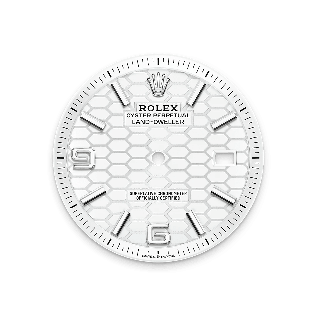 Rolex Land-Dweller in White Rolesor - combination of Oystersteel and white gold M127334-0001- Montecristo Jewellers Rolex Land-Dweller in White Rolesor - combination of Oystersteel and white gold M127334-0001- Montecristo Jewellers