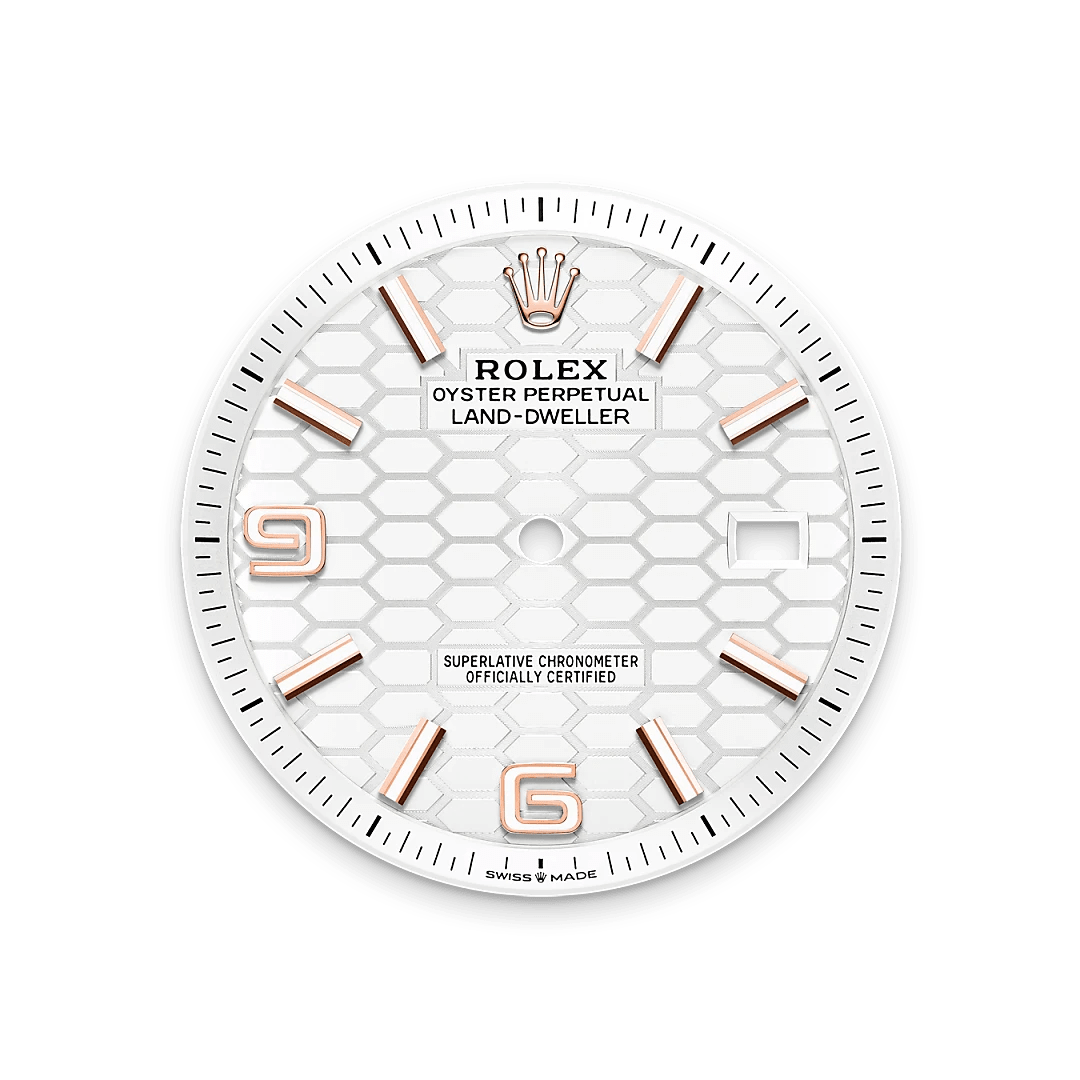 Rolex Land-Dweller in 18 ct Everose gold M127335-0001- Montecristo Jewellers Rolex Land-Dweller in 18 ct Everose gold M127335-0001- Montecristo Jewellers