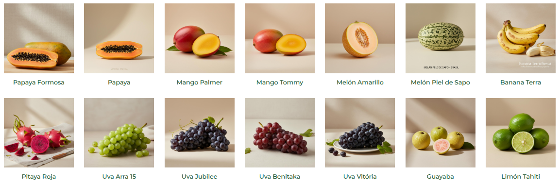 Capa Agrotha Alimentos