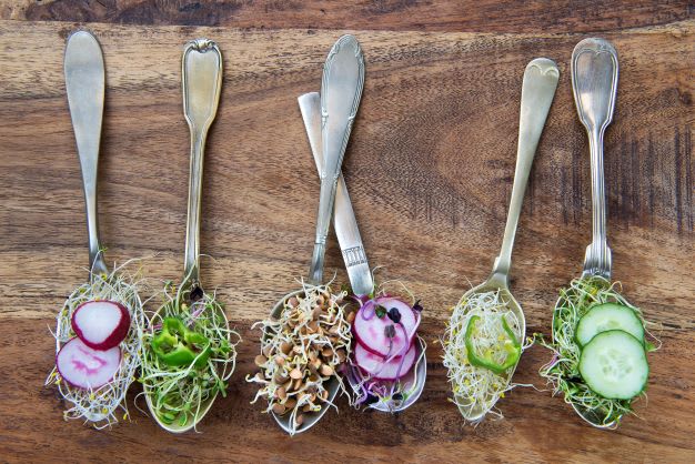 circular food system