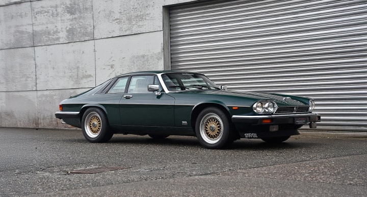 Have a big cat itch to scratch? These 8 Jaguars should do the trick