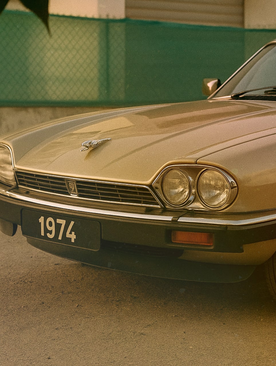 1974 jaguar xjs