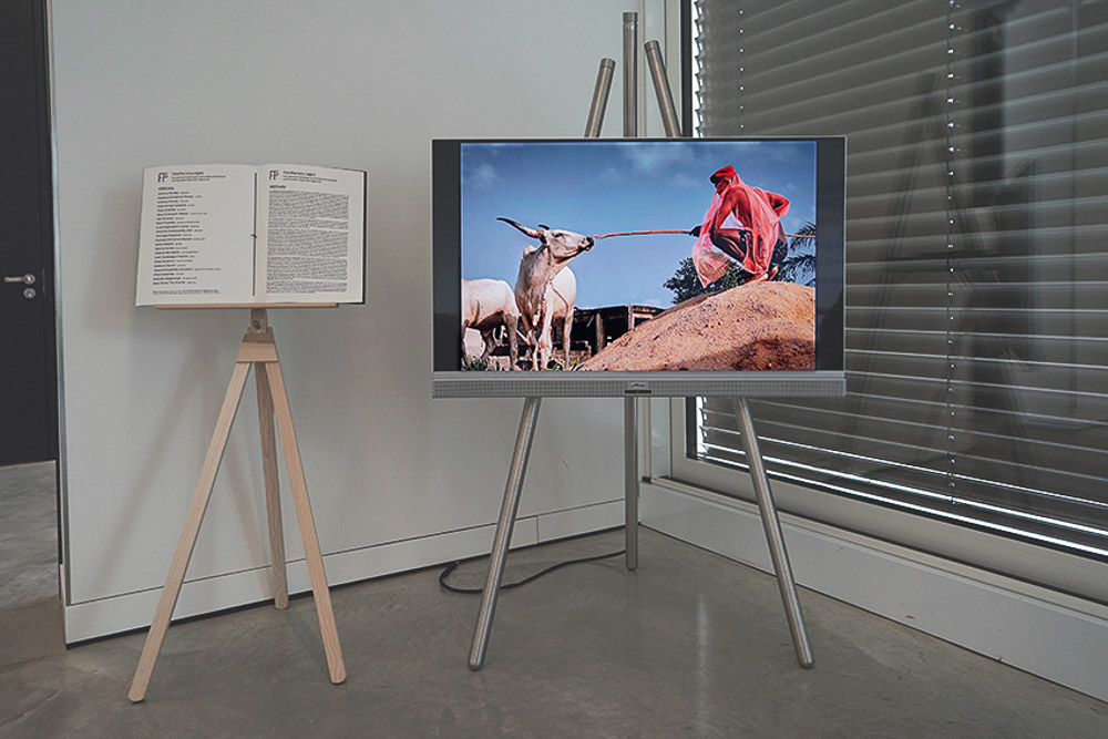 4000 daily exhbition by neec nonso