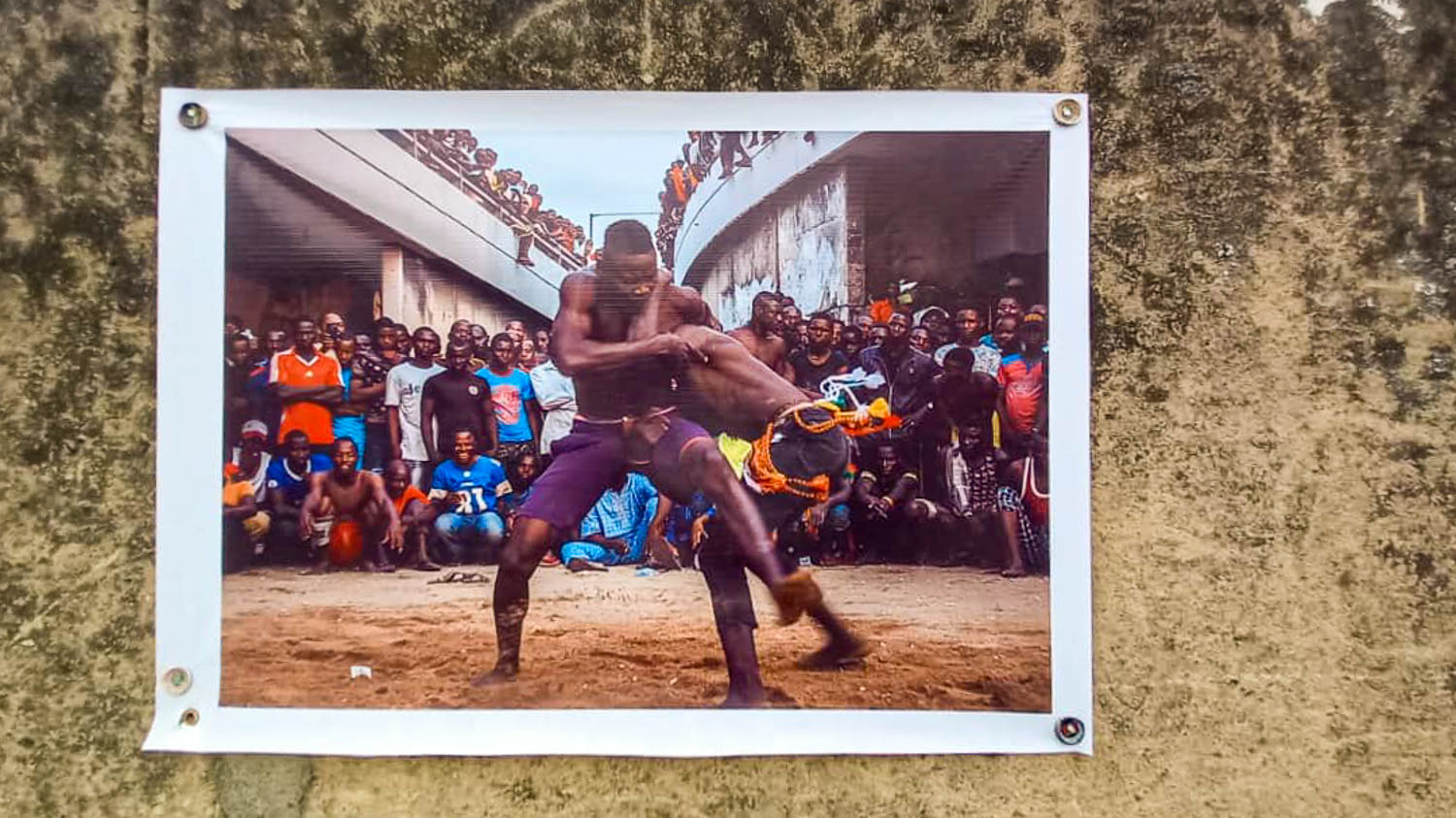 no victor,no vanquished exhbition by neec nonso