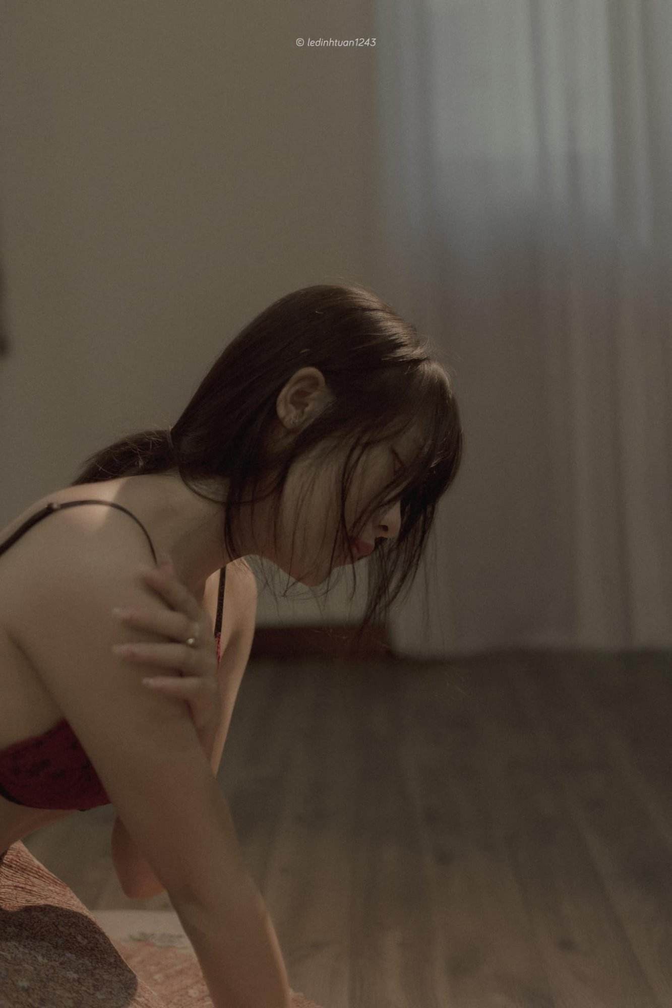 Cẩm Tú Cầu