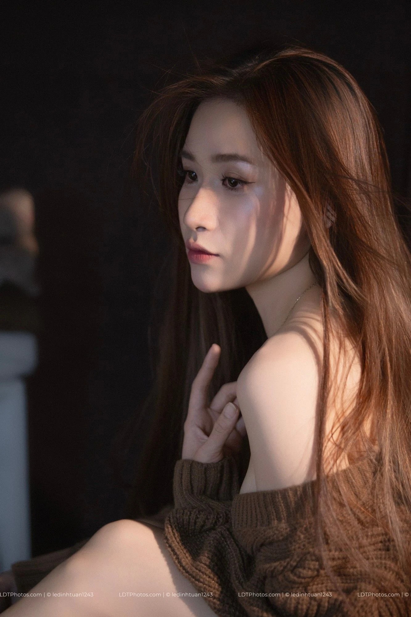 Lá Phong Vàng