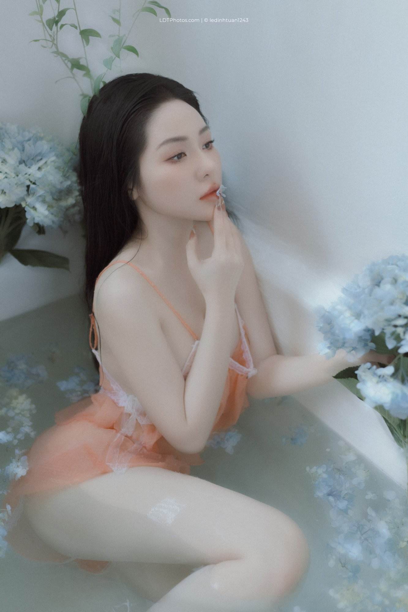 Cẩm tú cầu xanh