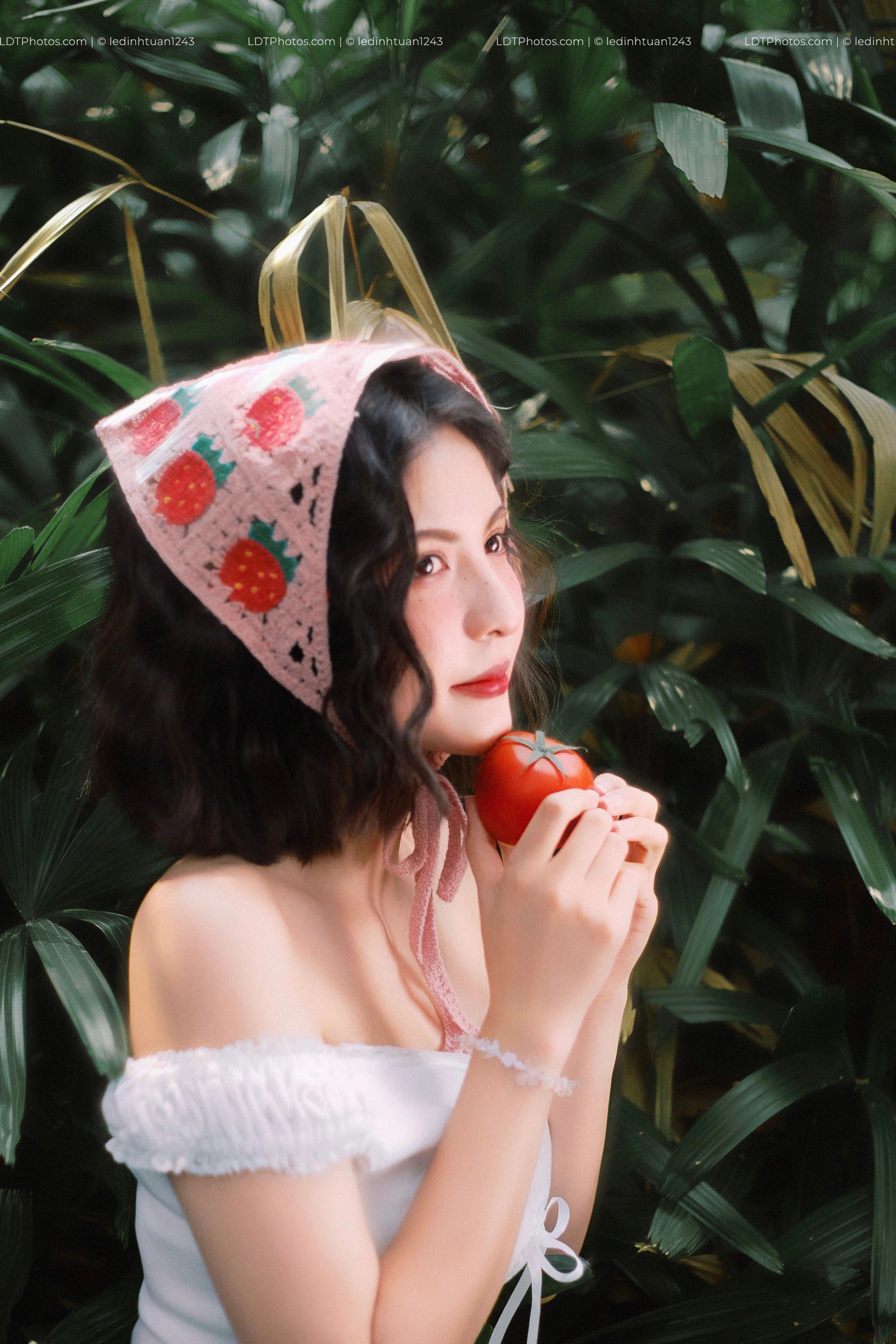 Concept Cà Chua Hè