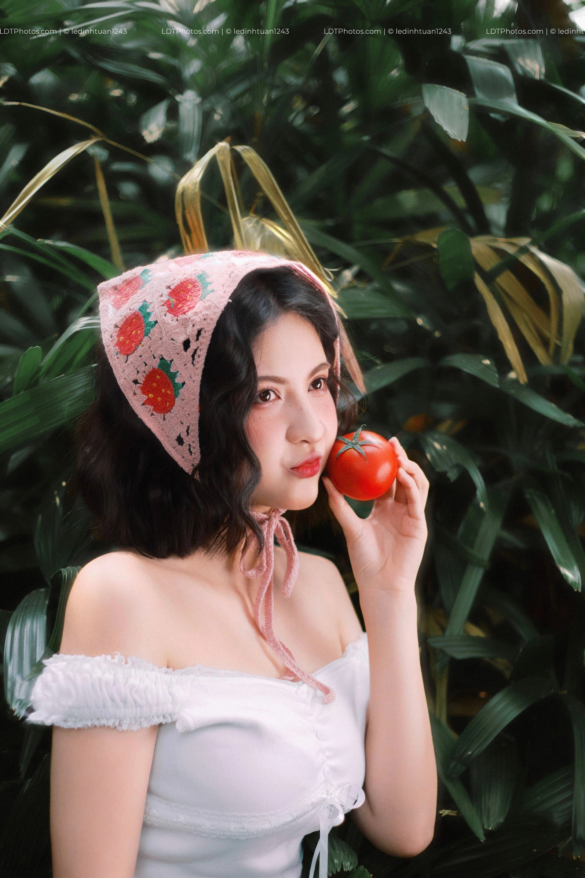 Concept Cà Chua Hè