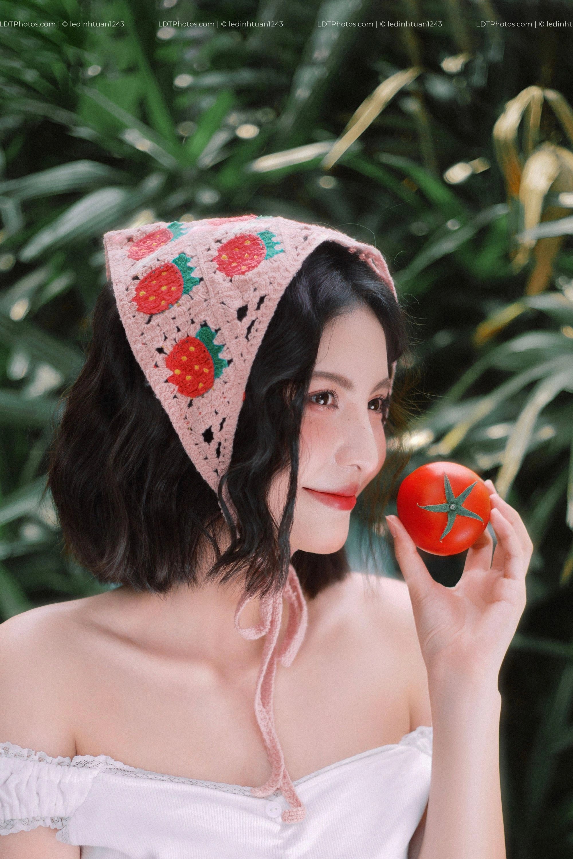 Concept Cà Chua Hè