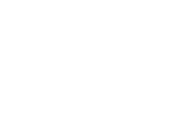 Safari Group