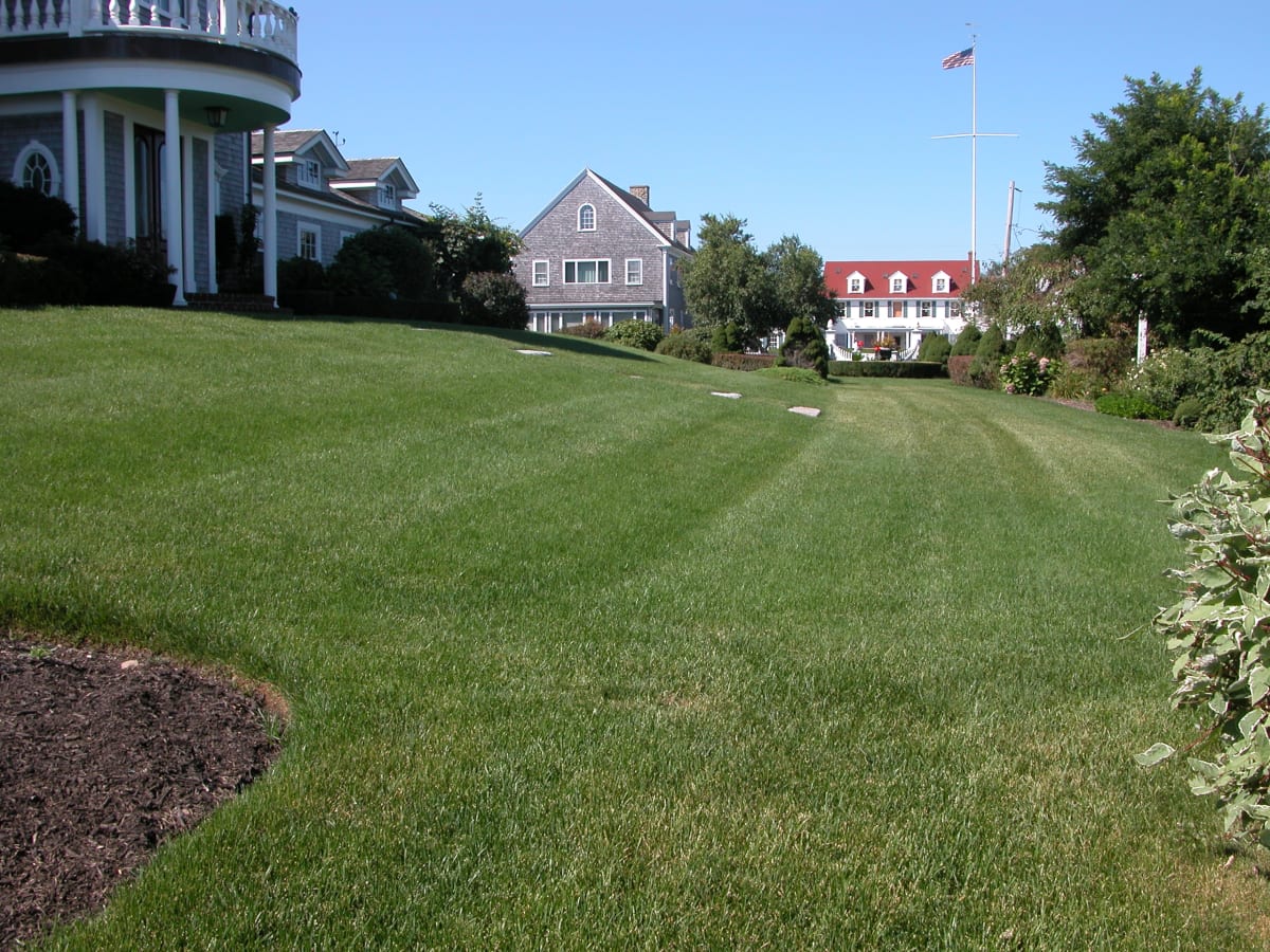 Freshly mowed lawn maintained by Burns Landscaping on the South Shore