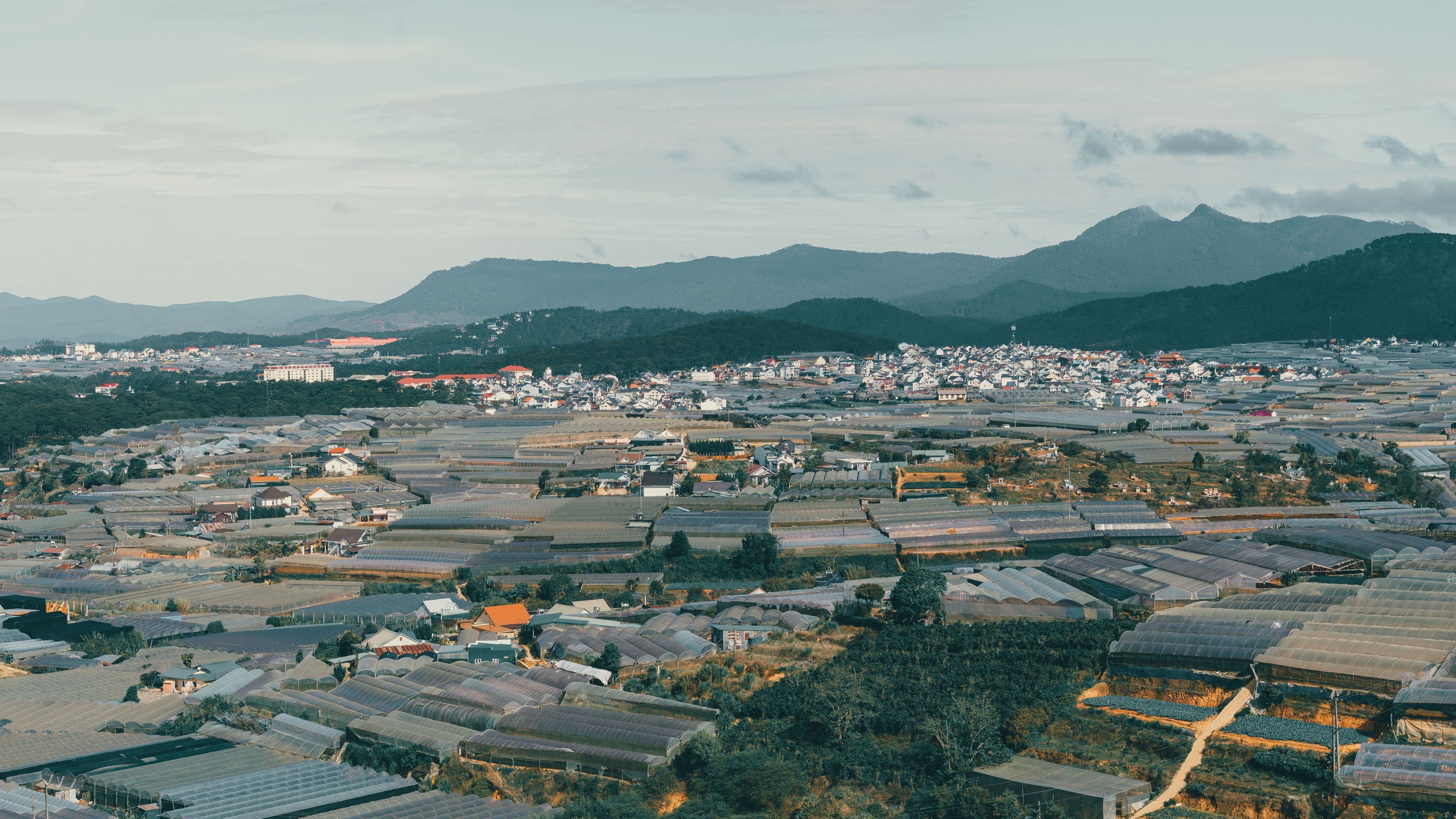 Nhà lồng Đà Lạt 1