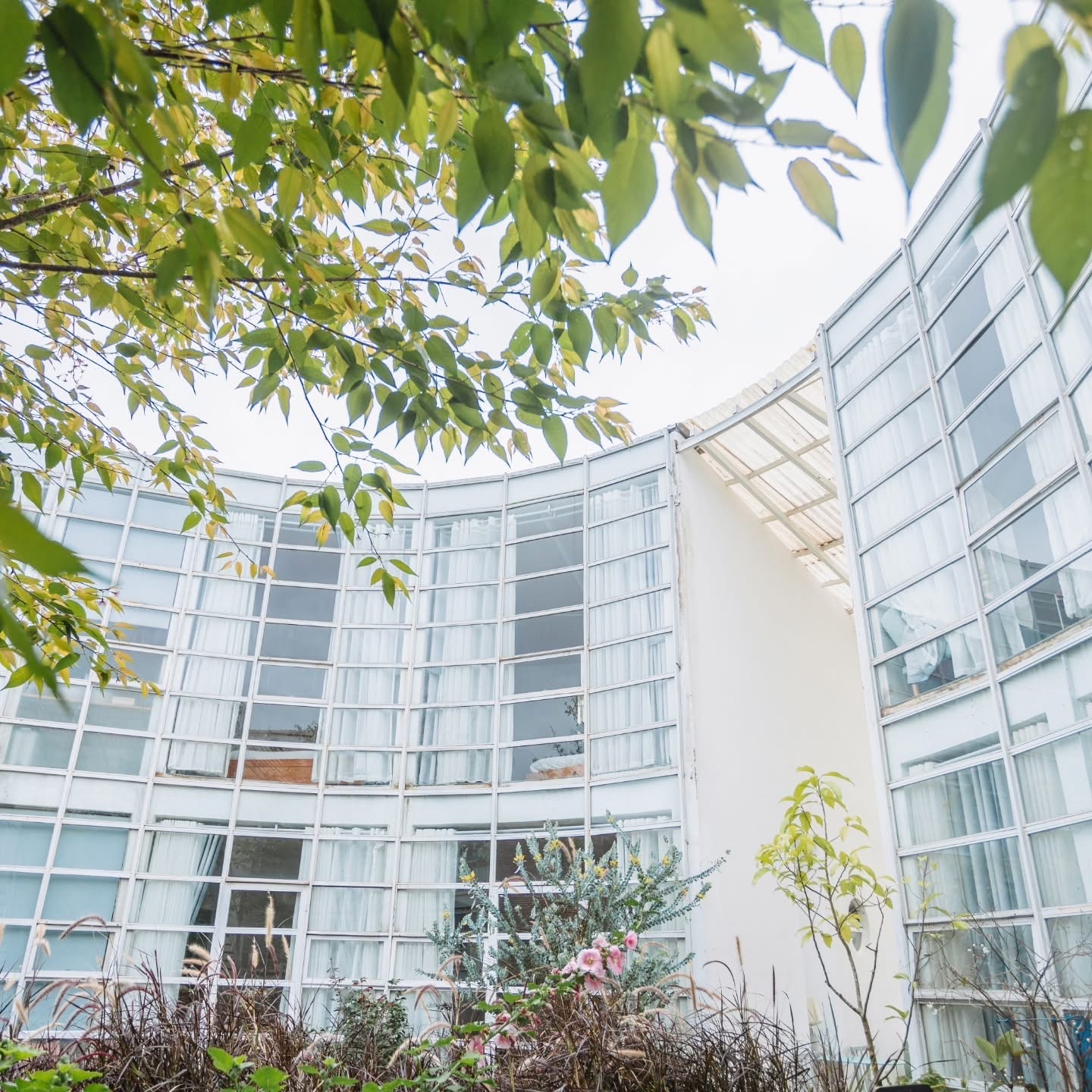 Nhà lồng Đà Lạt 3