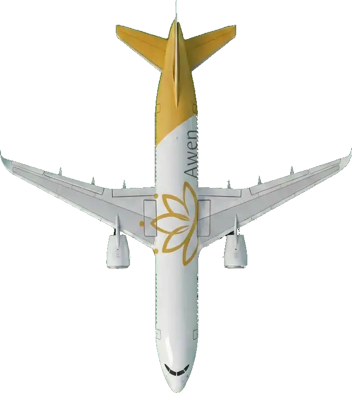 Avión Awen