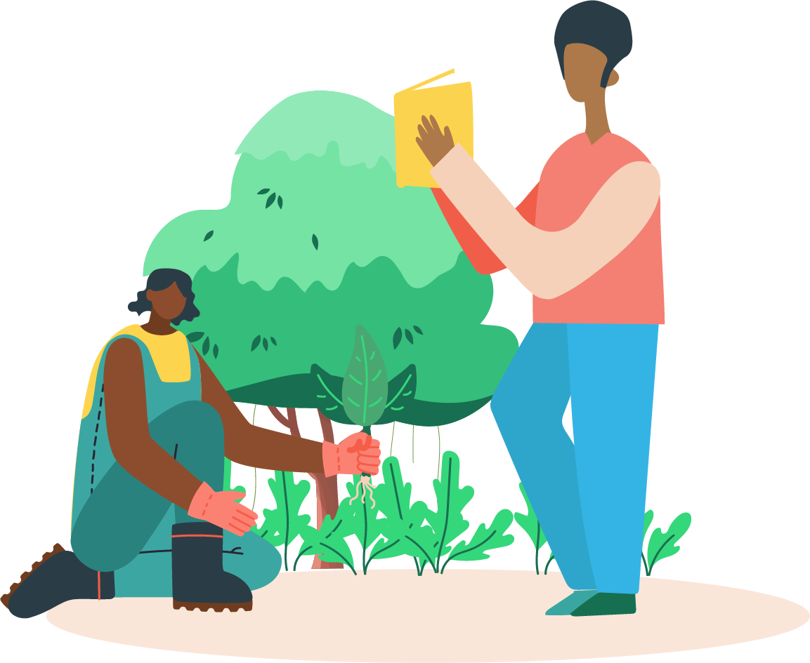 Practitioners