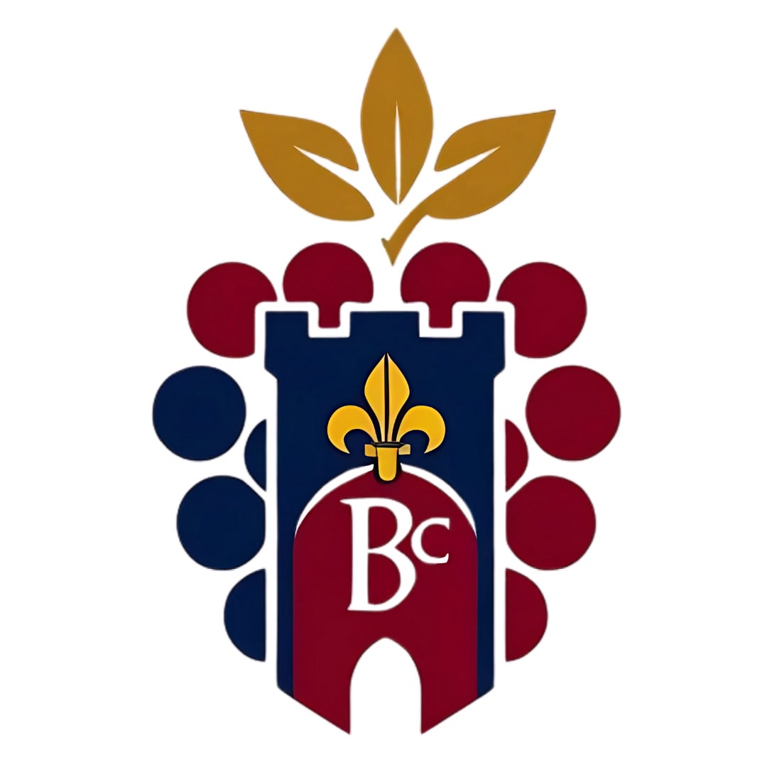 Logo de Berryconciergerie