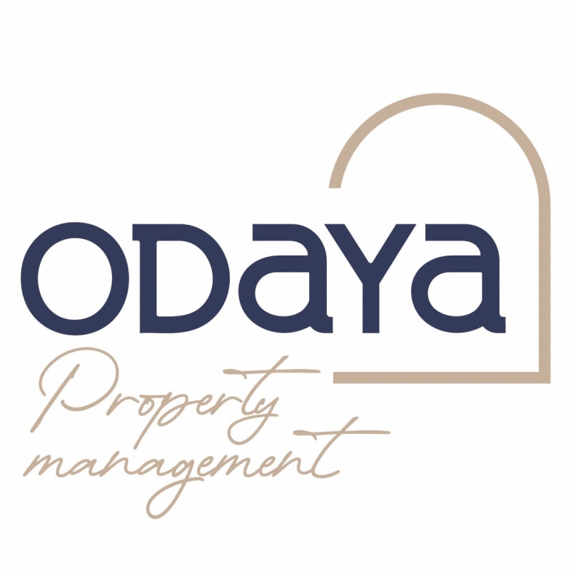 Logo de Odaya
