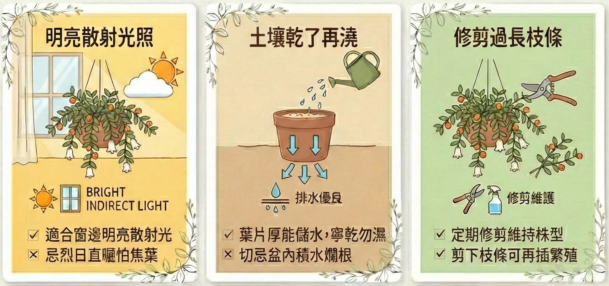 柳榕、玉唇花、吊盆植物、室內綠化推薦、居家垂吊花卉