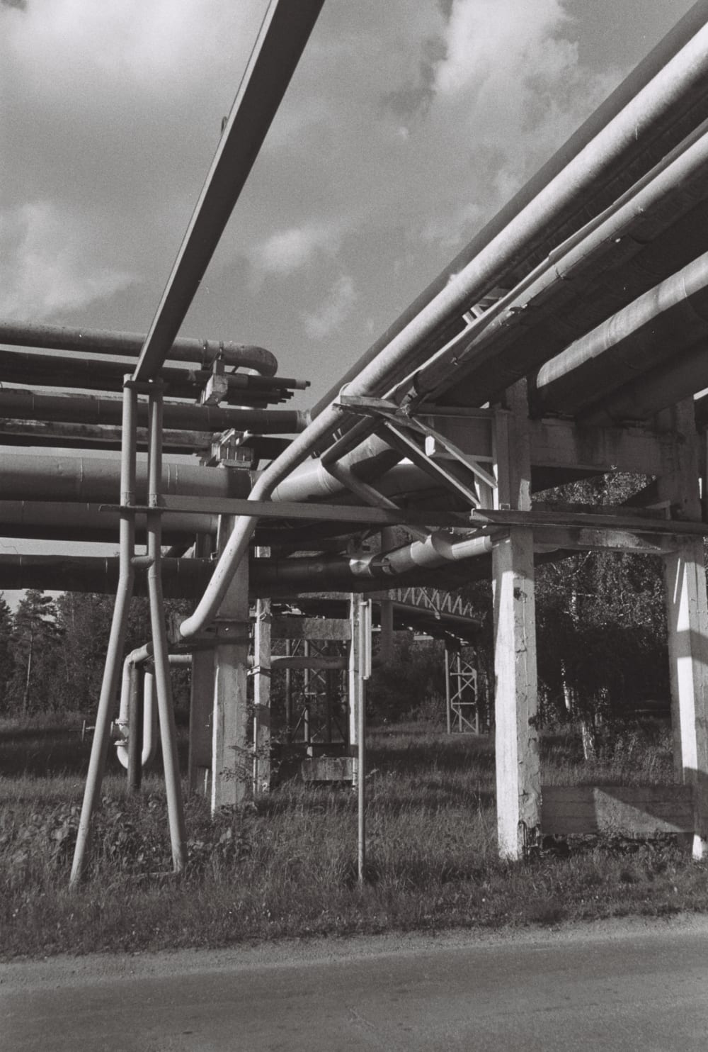 ELEKTRĖNAI, LITHUANIA Black and White 2