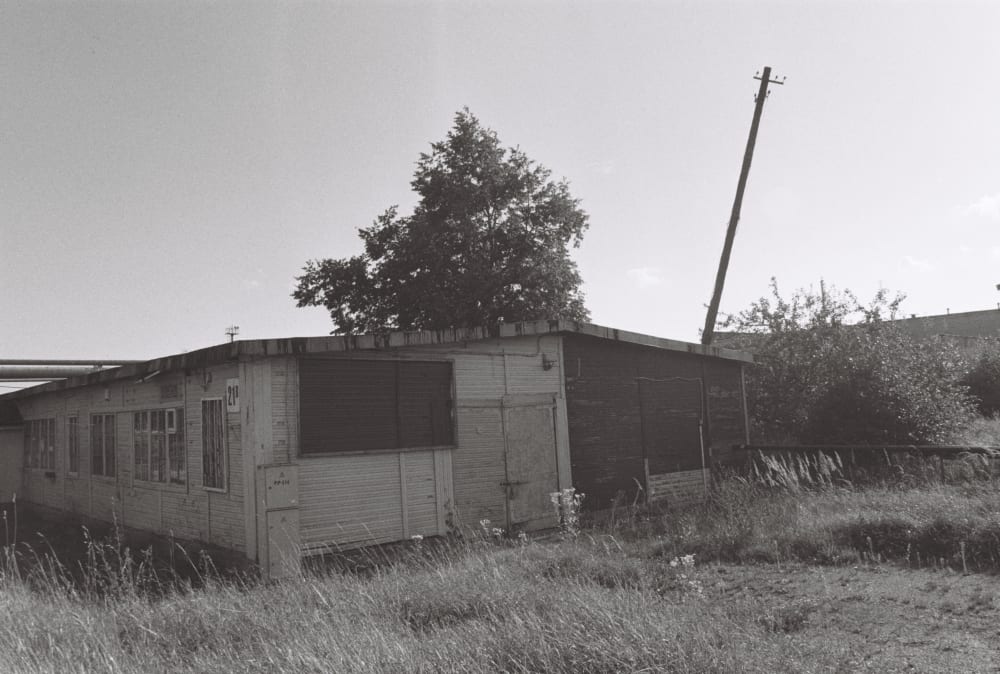 ELEKTRĖNAI, LITHUANIA Black and White 6