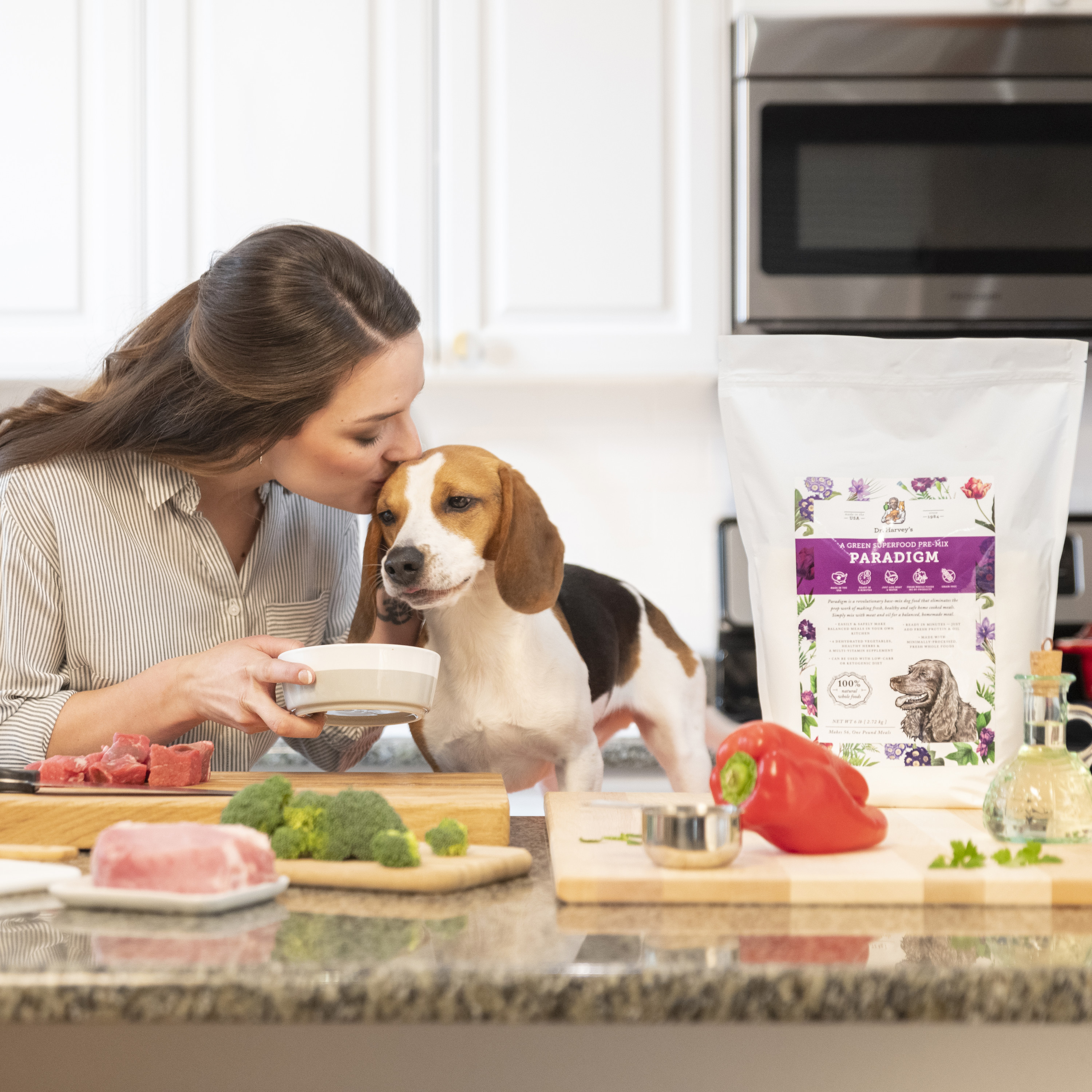 paradigm for dogs dr