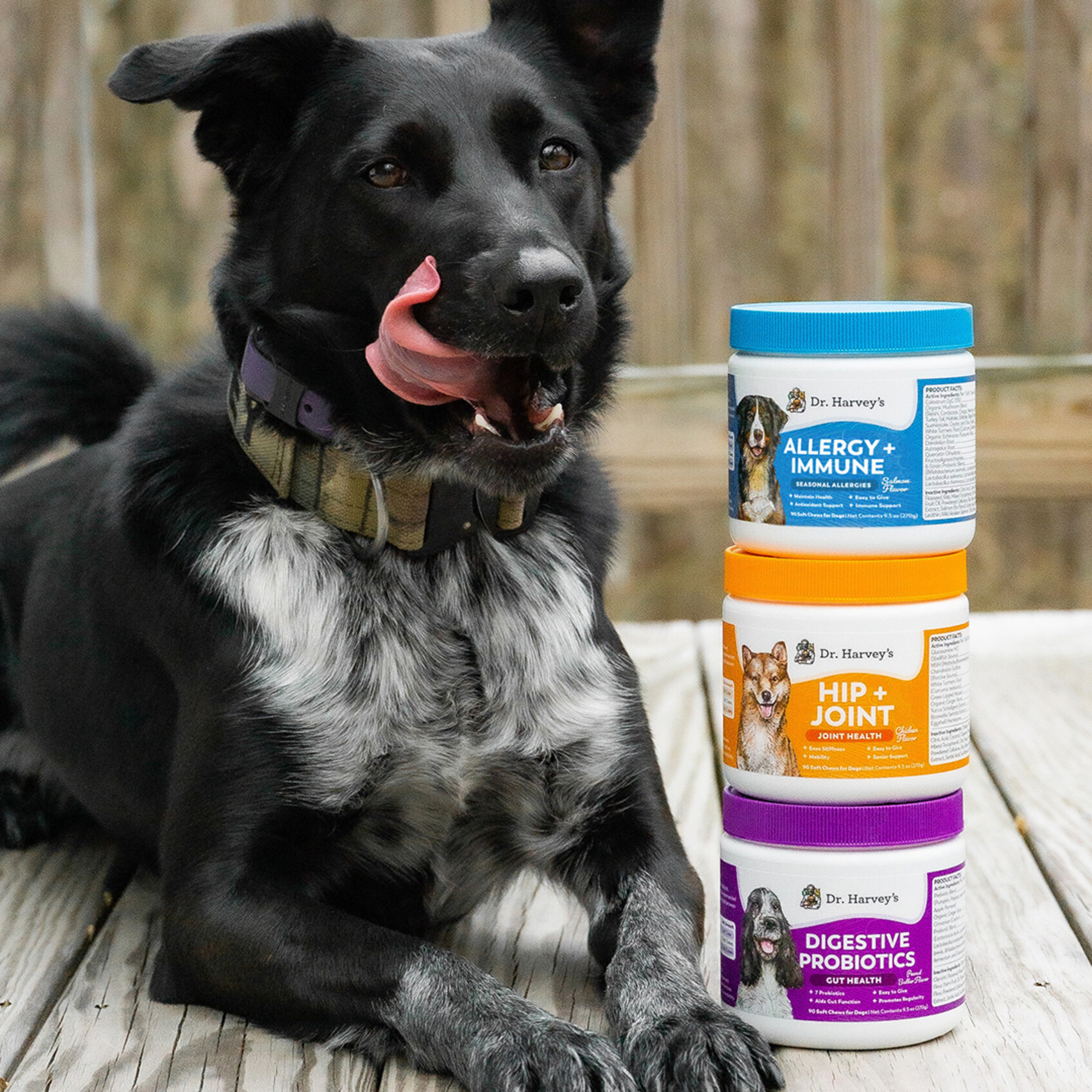 Herbal Immune Support Soft Chews for Dogs