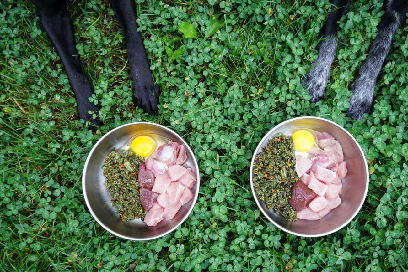A group of food on a plate