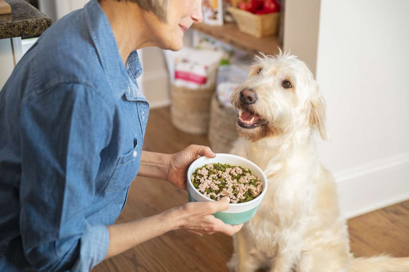 A dog and a man eating from a bowl