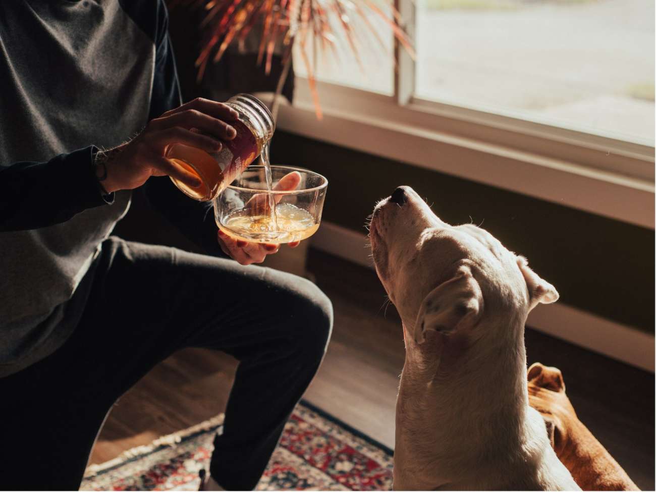 A man feeding a dog a glass of water