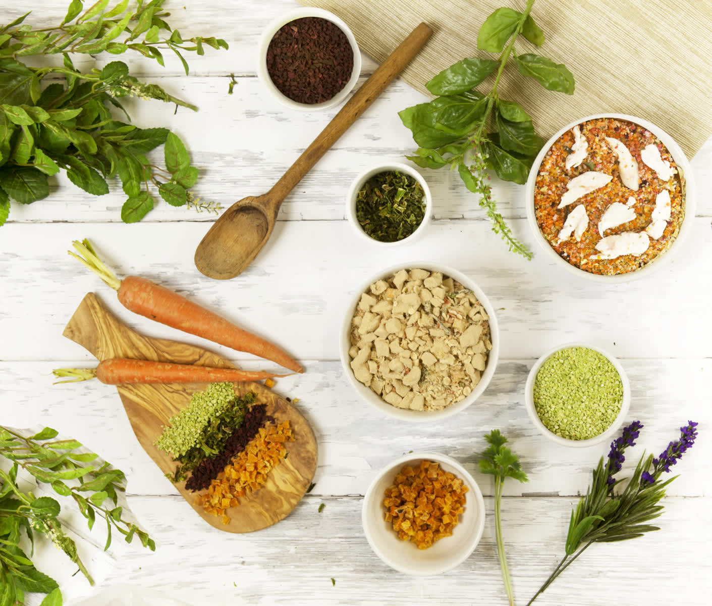 Are Grains Bad For Dogs What You Should Know Dr Harvey s are-grains-bad-for-dogs-what-you-should-know-dr-harvey-s