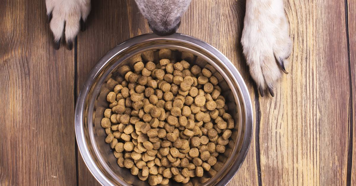 Best Diet For Kidney Problems Dr. Harvey's