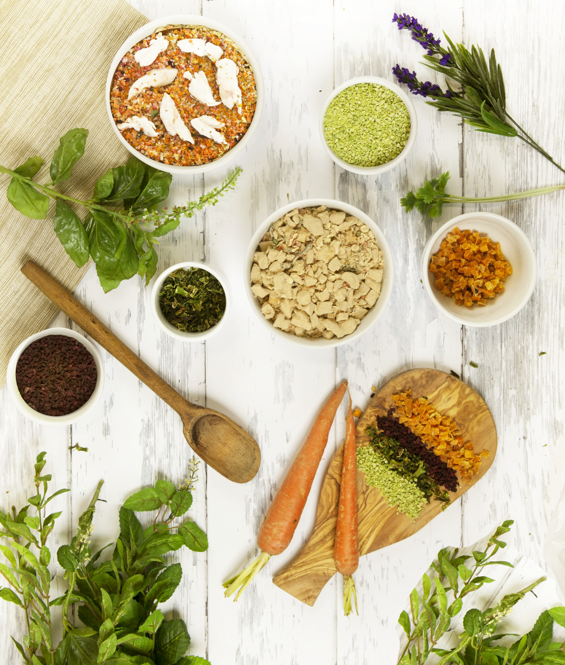 Are grains bad for dogs hot sale