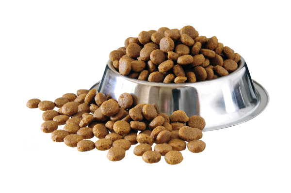 Kibble dog food