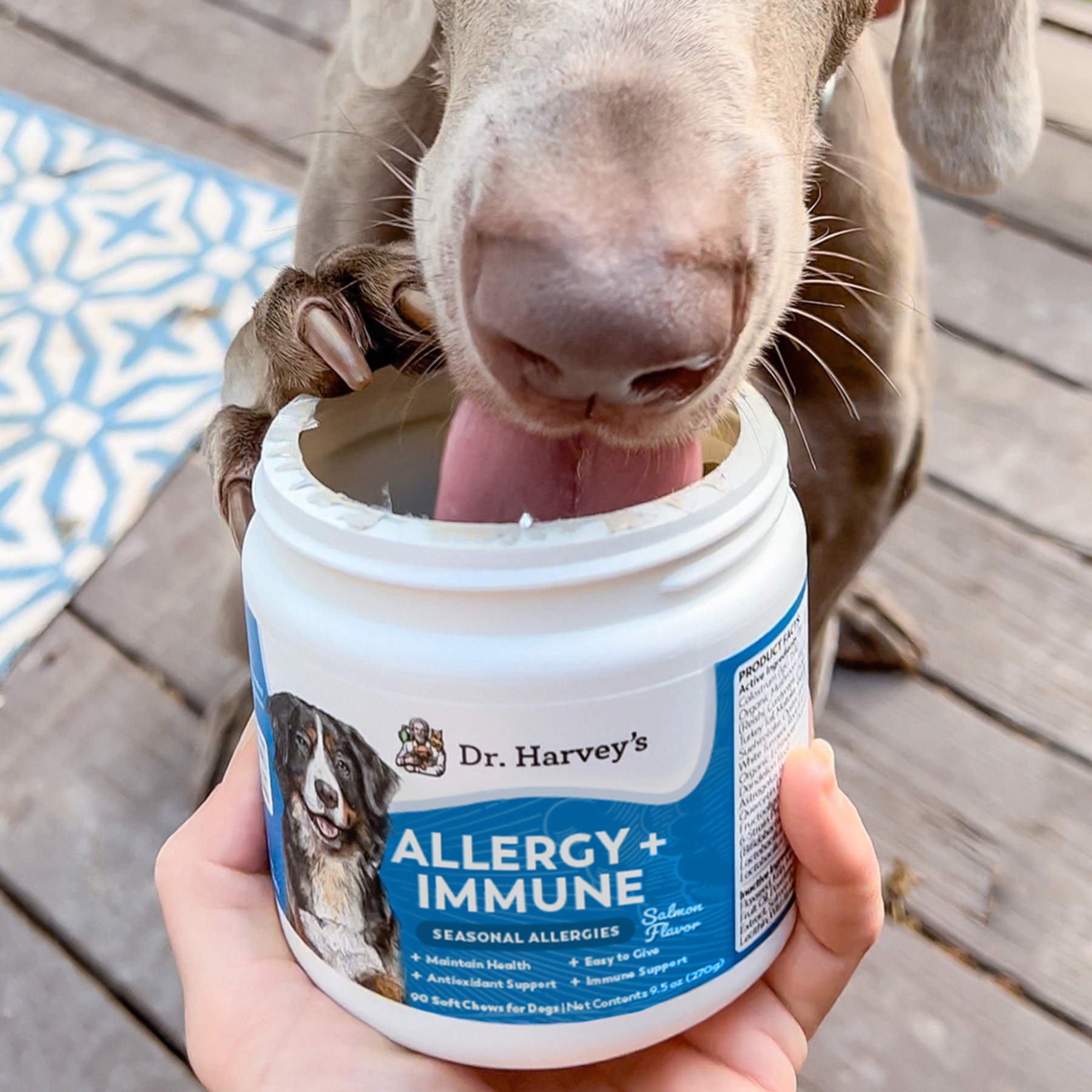 Allergic Reaction Best Dog Food For Large Breed With Allergies