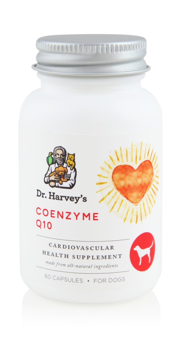 Coenzyme Supplements for Dogs | Dr. Harvey's