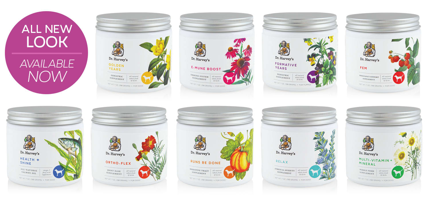 A group of jars with different colored liquids