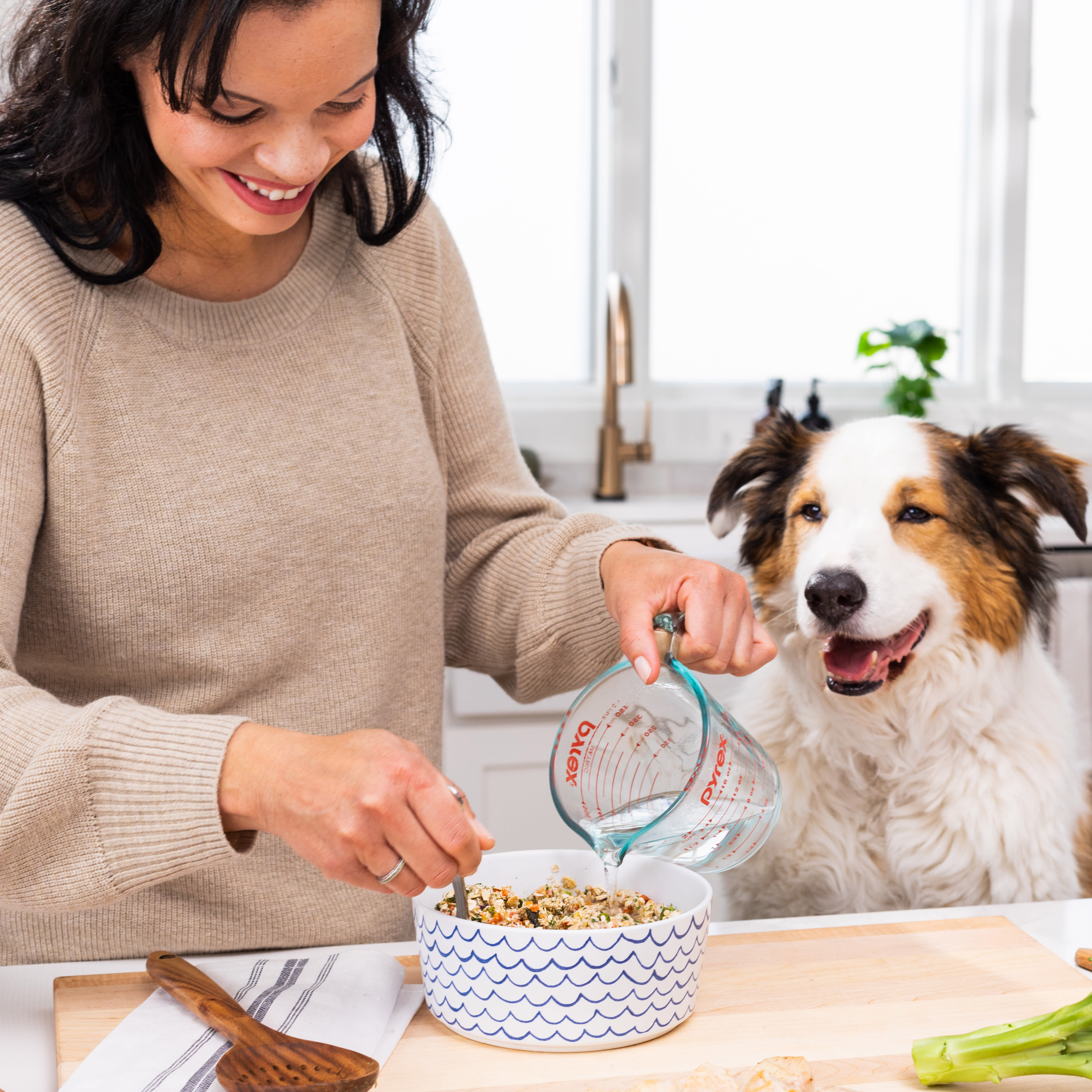 Natural Low Phosphorus Dog Food Dr Harvey s natural-low-phosphorus-dog-food-dr-harvey-s