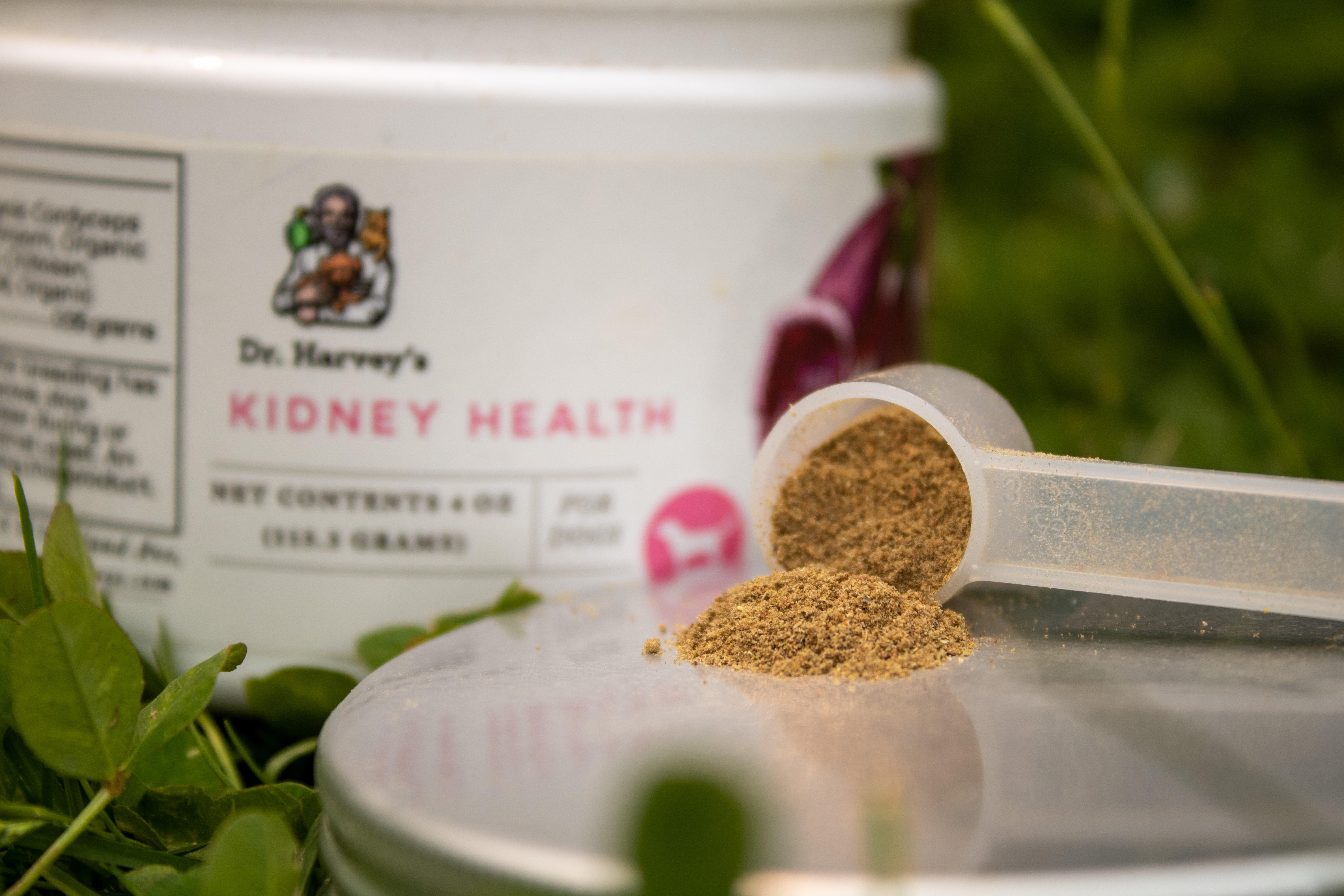 Scoop of Kidney Health Supplement for Dogs