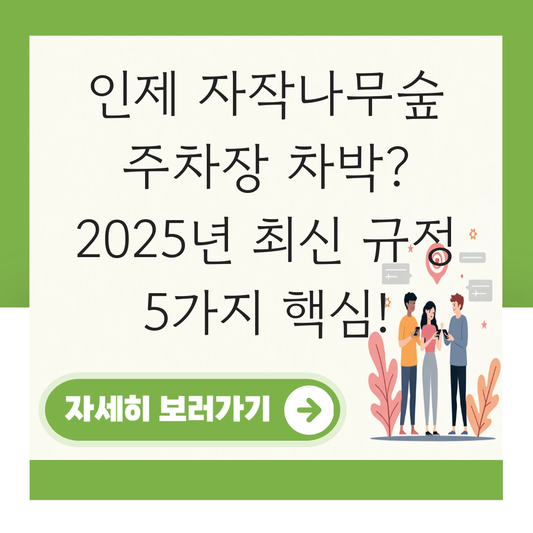 인제 자작나무숲 주차장 차박 대표 이미지