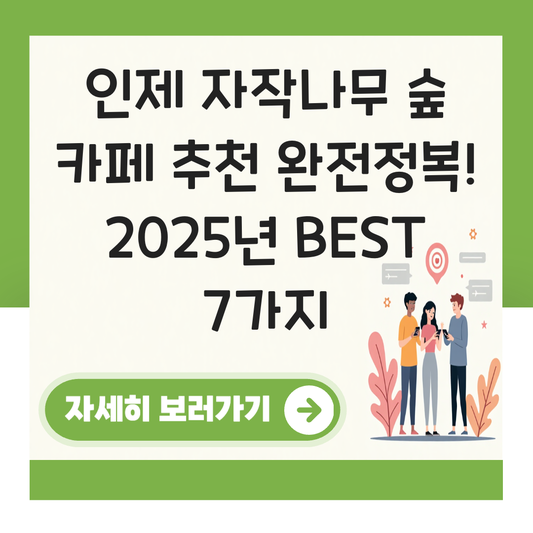 인제 자작나무 숲 카페 추천 대표 이미지