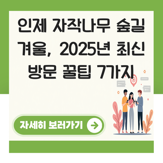 인제 자작나무 숲길 겨울 대표 이미지