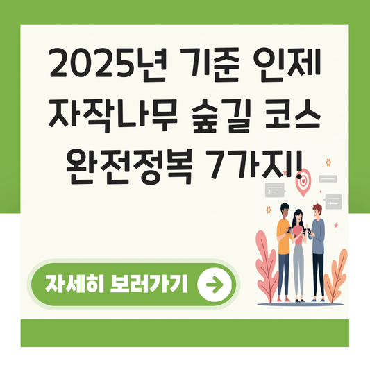 인제 자작나무 숲길 코스 대표 이미지