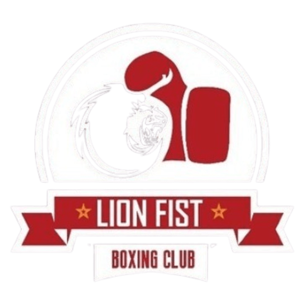 Lion Fist Boxing Academy - SK Martial Arts Partner