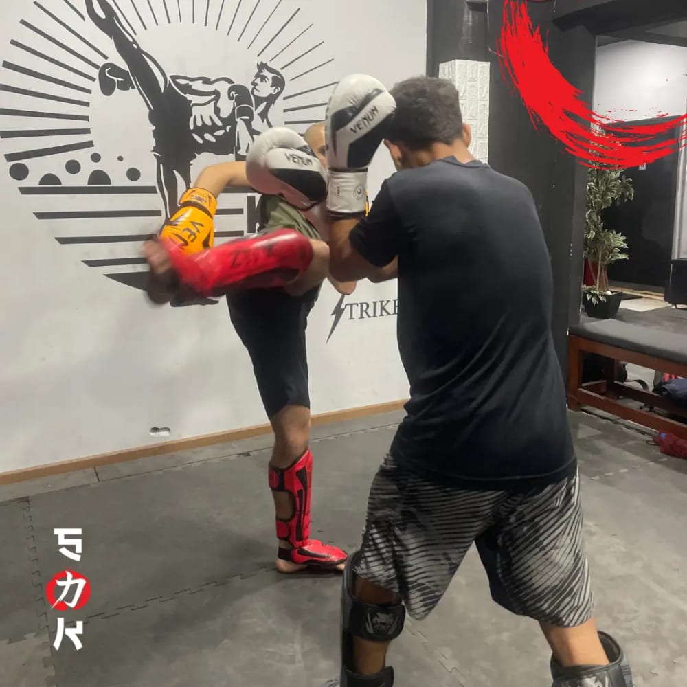 SK Martial Arts Training Session Cairo - MMA Kickboxing Techniques 6